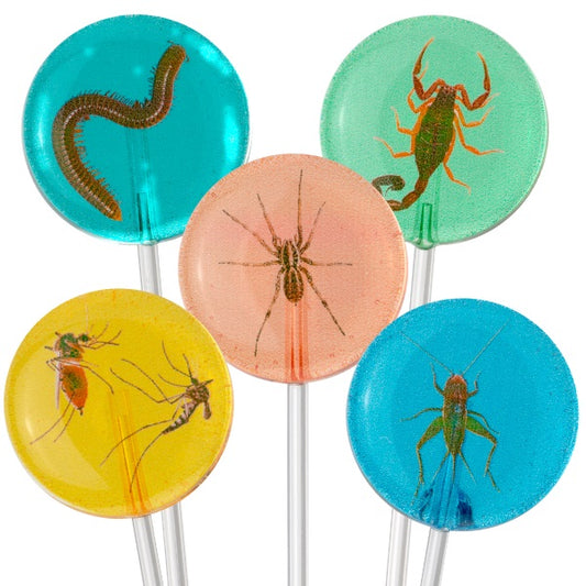 Bugsuckers, Sugar-free Sucker with Edible Image of Real Bugs Inside Lollipop, 1.7 Ounce