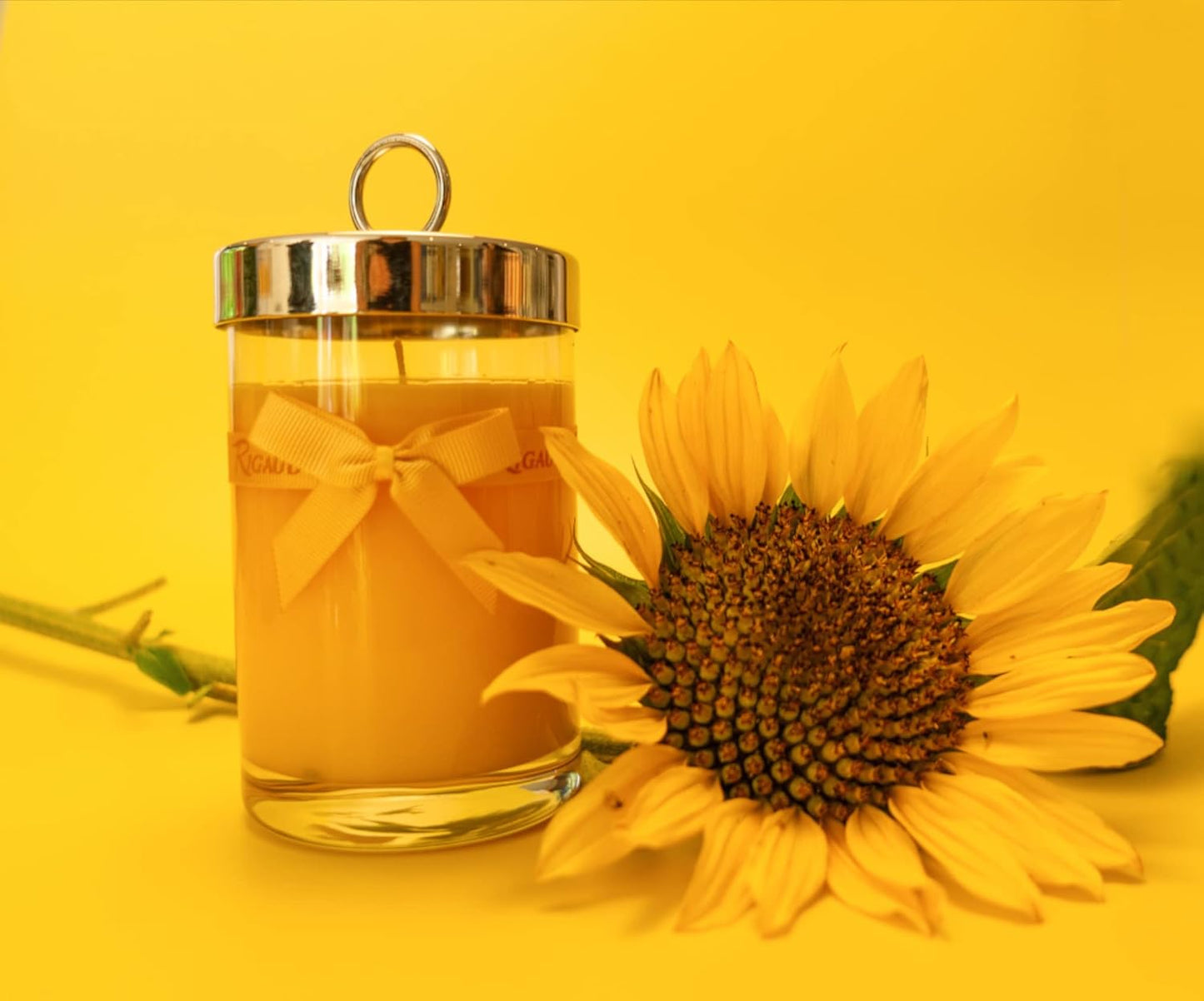 Rigaud Scented Candle, Handmade in France, Tournesol