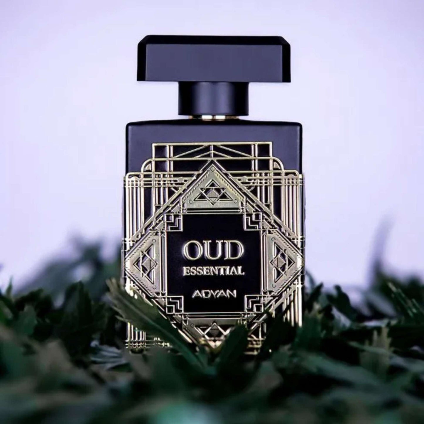 Adyan Oud Essential Eau De Parfum Unisex Perfume, 100 ml
