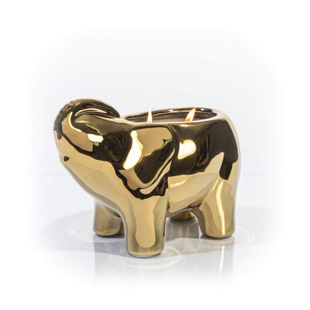 Metallic Gold Elephant Double Wick Candle, Orange Blossom Fragrance, 28 oz