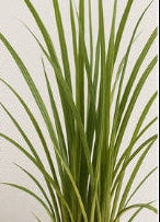 10 A.M. FLIRT Travel Spray