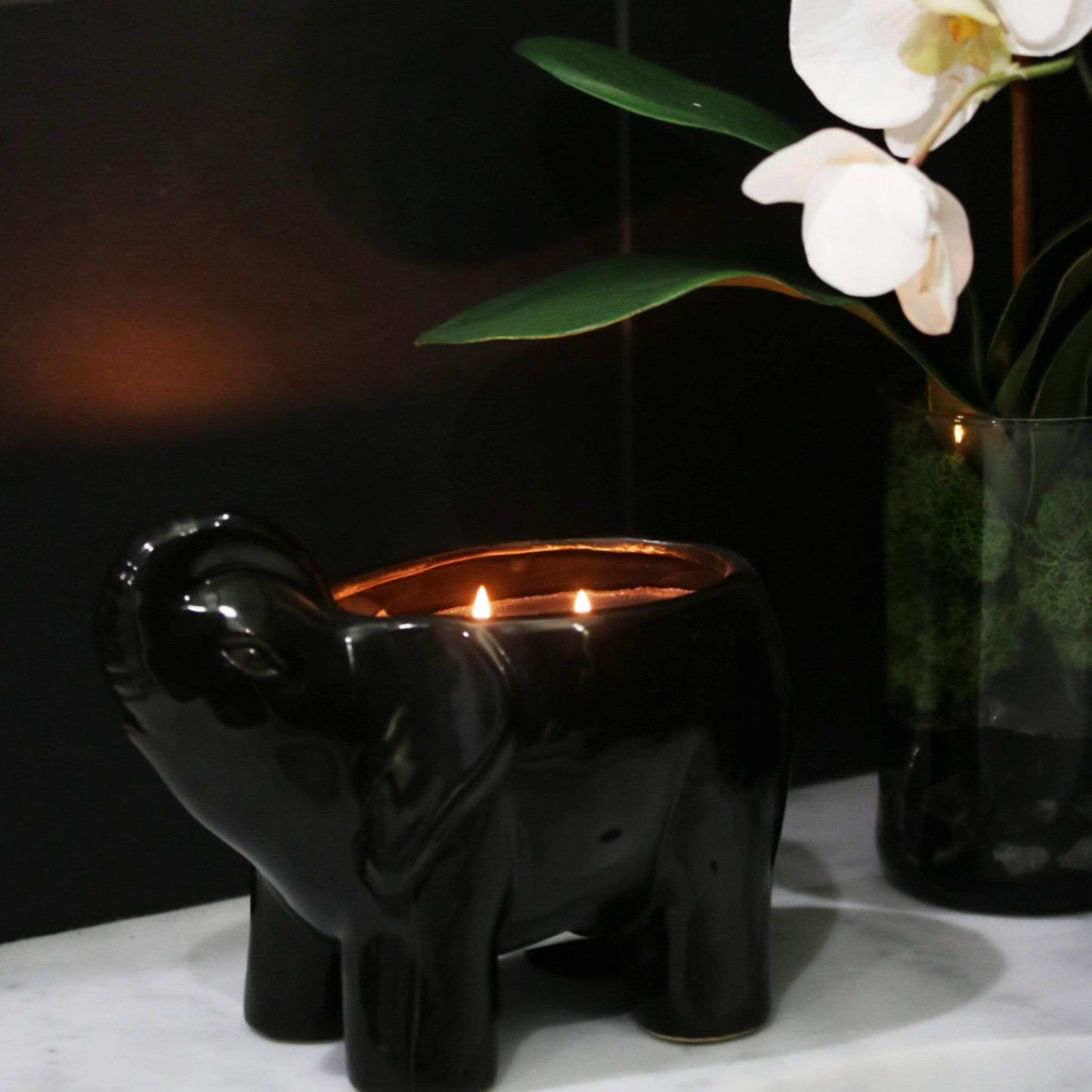 Black Elephant Double Wick Candle, Ash Ember Rose Fragrance, 28 oz
