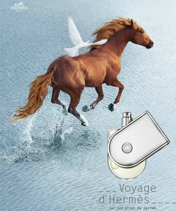 Voyage D'Hermes By Hermes For Unisex 3.3oz EDT Spray