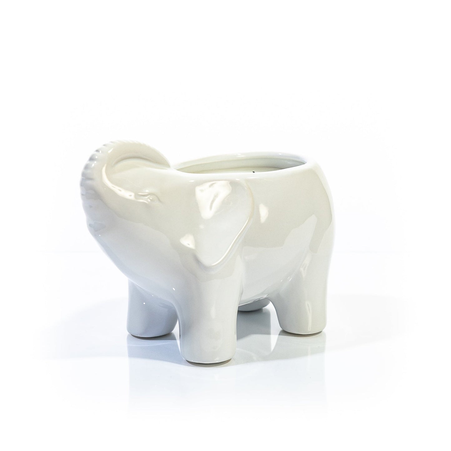 White Elephant Double Wick Candle, Neroli Eucalyptus Fragrance, 28 oz