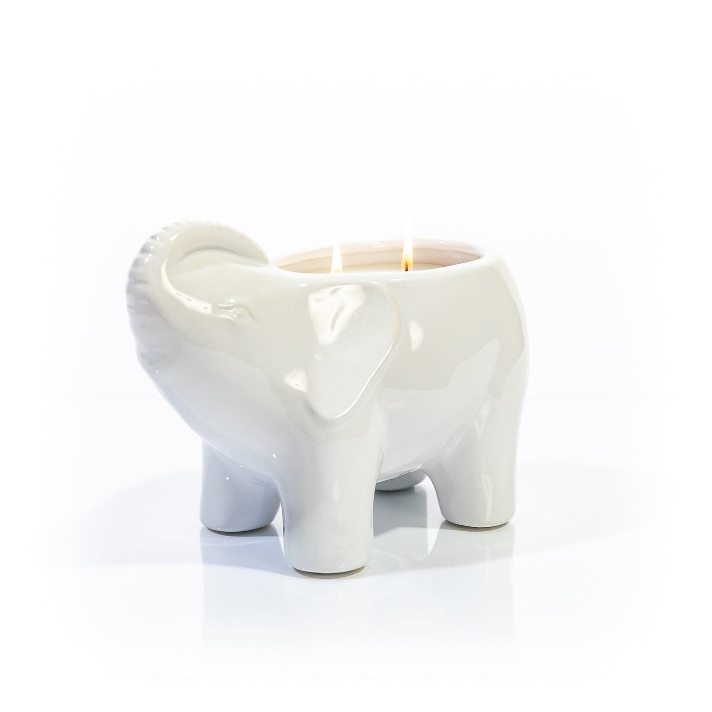 White Elephant Double Wick Candle, Neroli Eucalyptus Fragrance, 28 oz