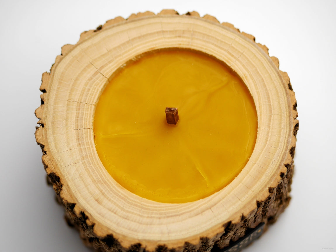 Rocky Coniferous, Patio Size – wide beeswax candle in wood