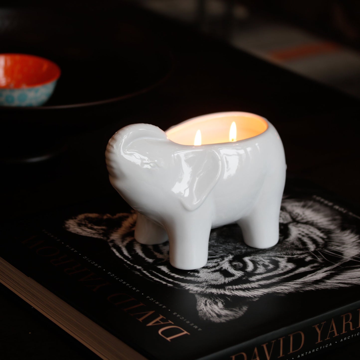 White Elephant Double Wick Candle, Neroli Eucalyptus Fragrance, 28 oz