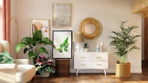 Home Décor