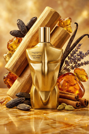 Fragrance Deluxe The Man Elixir Eau De Parfum for Men, 100 ml