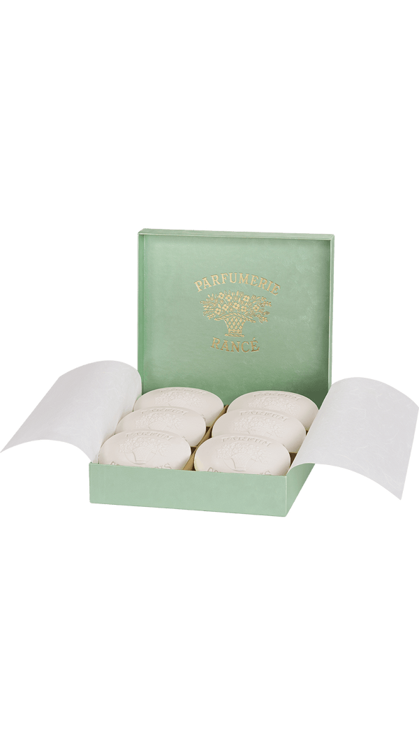 Rancé 1795 Corylopsis Perfumed Soap, 6 x 100g