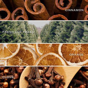 Sweet Water Decor Christmas 12 oz Boxed Soy Candle