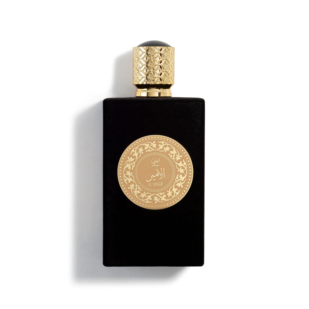 AL AMEER 100ML