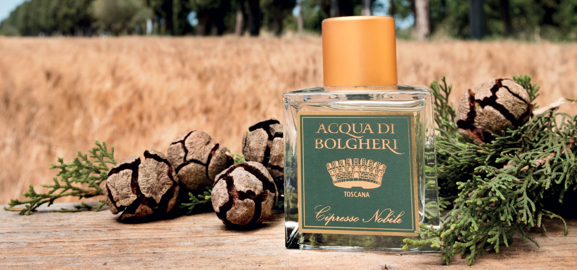 Acqua di Bolgheri Cipresso Nobile Eau de Parfum - Thumbnail 2