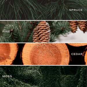 Christmas Tree Soy Candle - Clear Jar - 9 oz