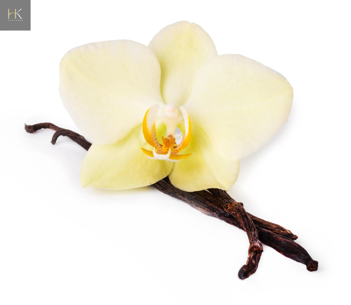 Vanilla Reverie Sample Set