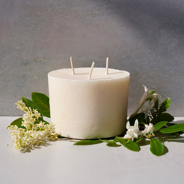 Wax Candle Refill Inserts