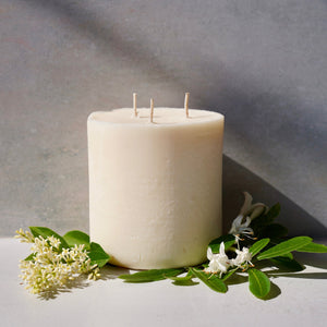 Wax Candle Refill Inserts