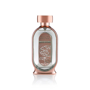 DUBAI AVENUE FUTURE 100ML EDP