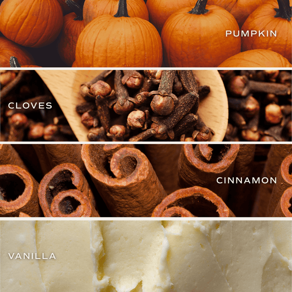Pumpkin Spice Soy Candle - White Jar - 11 oz