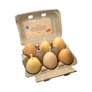 Egg Candles - 6 Pack Box