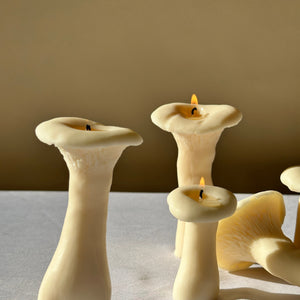 Mushroom Candle Set - 3 Pack