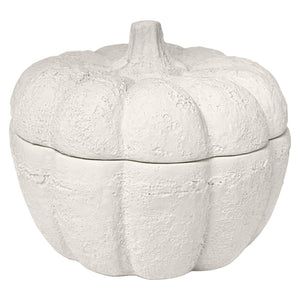 Sweet Water Decor Pumpkin Jar Soy Candle, 13.5 oz - Cashmere and Vanilla