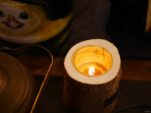 Rocky Reusable Candle with Essential Oil of Pine, Original Size