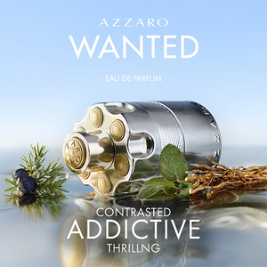 Azzaro The Most Wanted Eau de Toilette 100ML  Premium Perfume