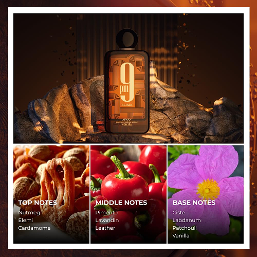 AFNAN 9 PM ELIXIR PARFUM INTENSE 100ml6