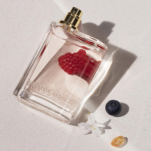 Burberry Her Eau de Parfum 100ml Women's Perfume